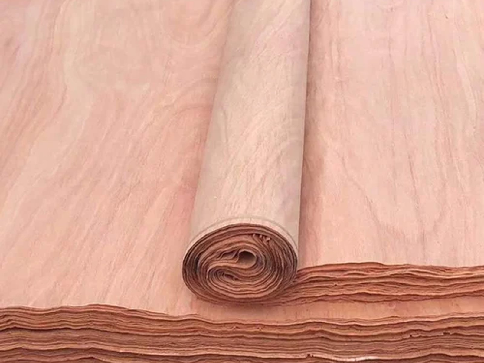 Face Veneer